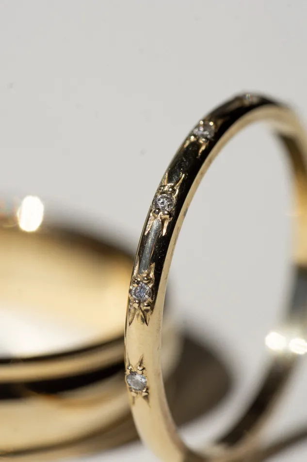 The Grandeur Pair Foe Dear Earrings