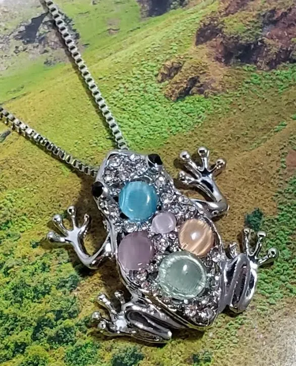 polly Necklaces N267 Silver Frog Multi Color Moonstone Necklace with FREE Earrings polly Necklaces N267 Silver Frog Multi Color Moonstone Necklace with FREE Earrings