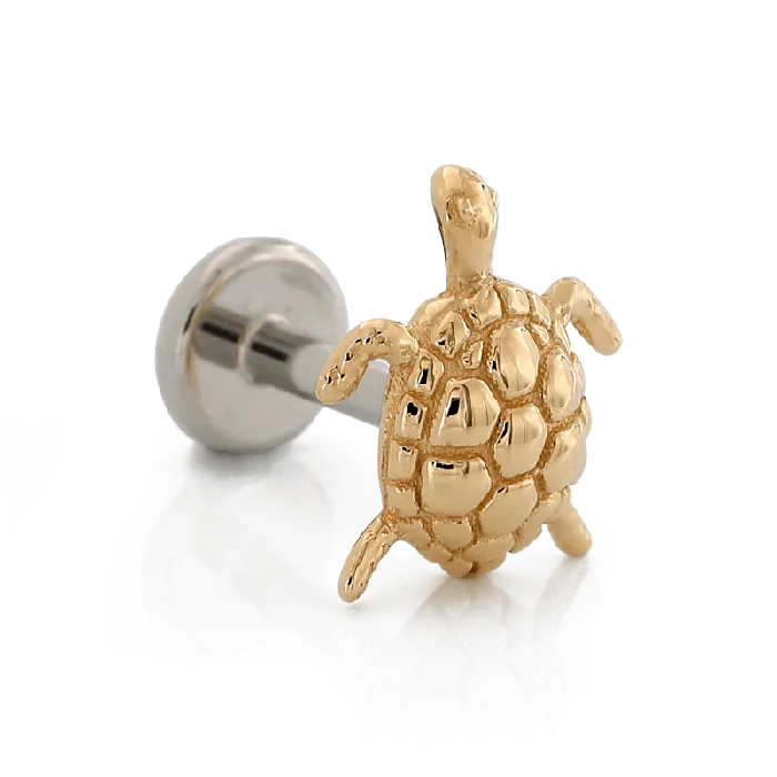 Swimming Turtle Body Vision Earrings