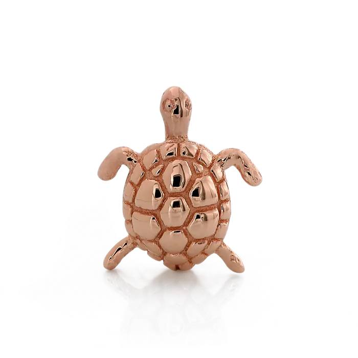 Swimming Turtle Body Vision Earrings