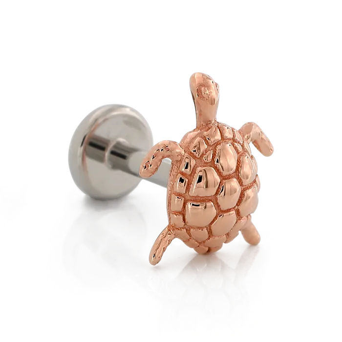 Swimming Turtle Body Vision Earrings