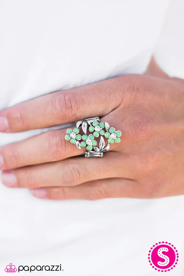 Paparazzi Jewelry Paparazzi Ring Spring Delight Green Rings