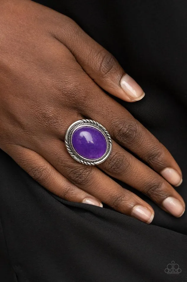 Paparazzi Ring Stone Terrarium Purple Paparazzi Jewelry Rings