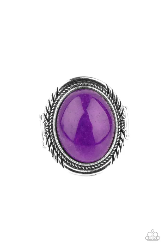Paparazzi Ring Stone Terrarium Purple Paparazzi Jewelry Rings Paparazzi Ring Stone Terrarium Purple Paparazzi Jewelry Rings