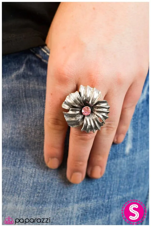 Rings Paparazzi Jewelry Paparazzi Ring Take Your Pick Pink