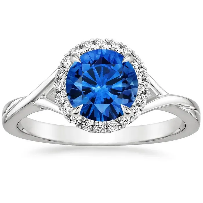 GB Eagle Claws Blue Sapphire And Natural Earth Mined Diamond Ring 240 Carats White Gold 14K Rings GB Eagle Claws Blue Sapphire And Natural Earth Mined Diamond Ring 240 Carats White Gold 14K Rings