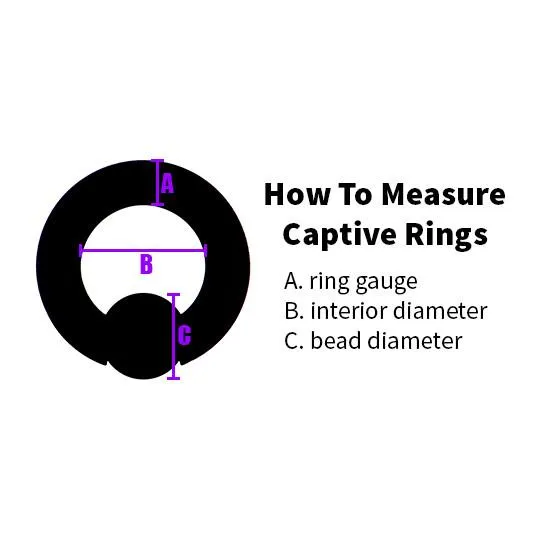 18g Stainless Fixed Bead Ring Tulsa Body Jewelry Rings 18g Stainless Fixed Bead Ring Tulsa Body Jewelry Rings
