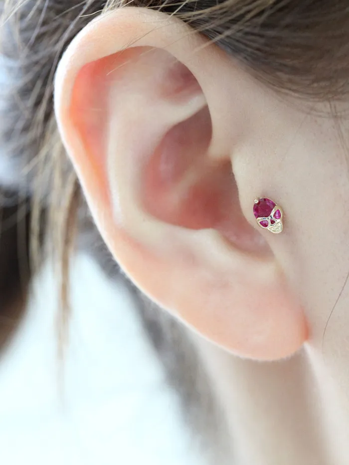 MinimalBijoux 14K gold Cutie Skull cartilage earring 18g16g Earrings