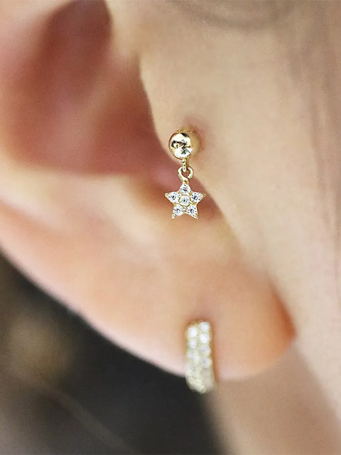 MinimalBijoux 14K gold flower dangle earring 20g Earrings