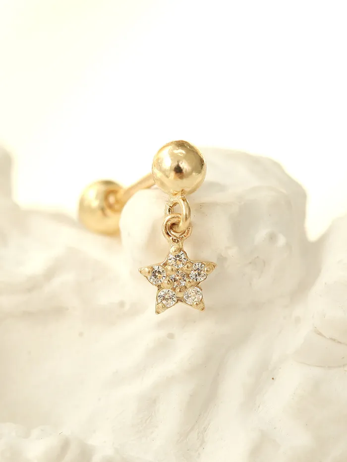 MinimalBijoux 14K gold flower dangle earring 20g Earrings