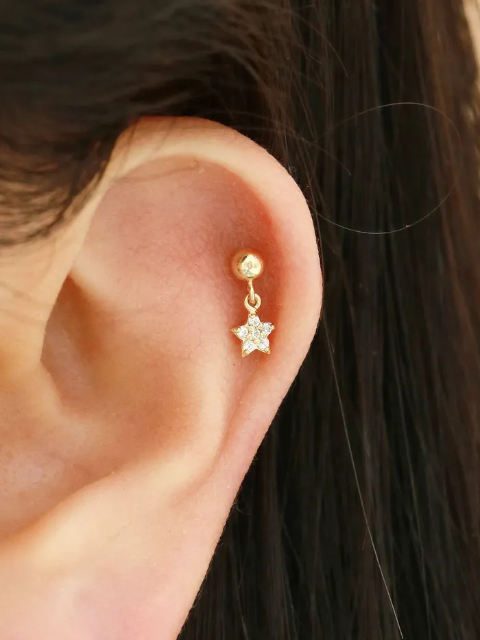 MinimalBijoux 14K gold flower dangle earring 20g Earrings
