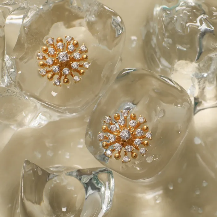 Earrings SILVER Nakshatra Silver CZ Stud Earrings