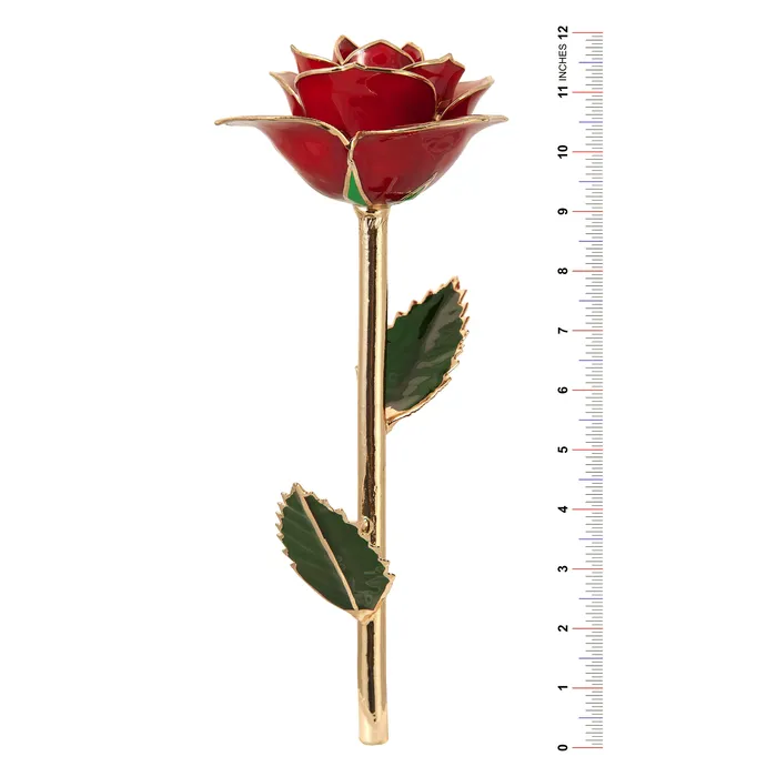 Glamorous Gold 24k Gold Dipped Rose TR Jewelry Concepts PreStyled Sets