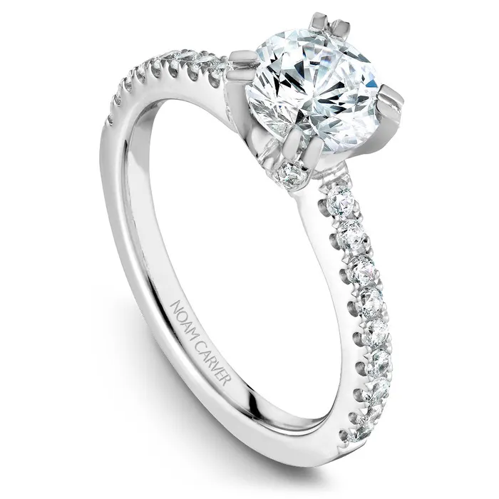 International Diamond Center Rings Noam Carver White Gold Diamond Solitaire Engagement Ring Setting with Diamond Centerpiece 041 CTW International Diamond Center Rings Noam Carver White Gold Diamond Solitaire Engagement Ring Setting with Diamond Centerpiece 041 CTW