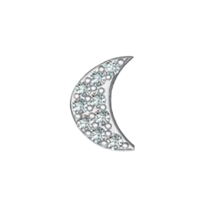 SG Fine Charm Necklaces Slider Moon Charm